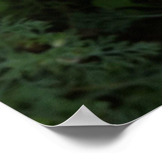 gele wilde bloemen poster (Hoek)