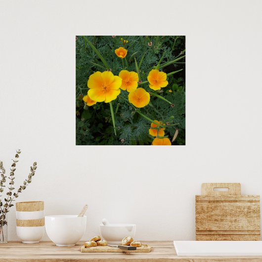 gele wilde bloemen poster (Keuken)