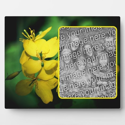  gele wilde bloemen Voeg je eigen foto toe Fotoplaat (Voorkant)