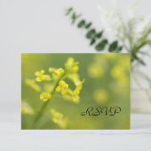 Gele wilde bloemen Weddenschap RSVP-respons Kaart (Staand voorkant)