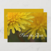  gele, wilde bloemendandelion, met uitzondering va aankondigingskaart (Voorkant / Achterkant)