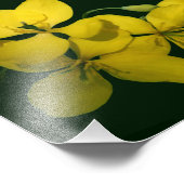  Gele Wilde Geraniumbloemen 8x10 Foto Afdruk (Hoek)