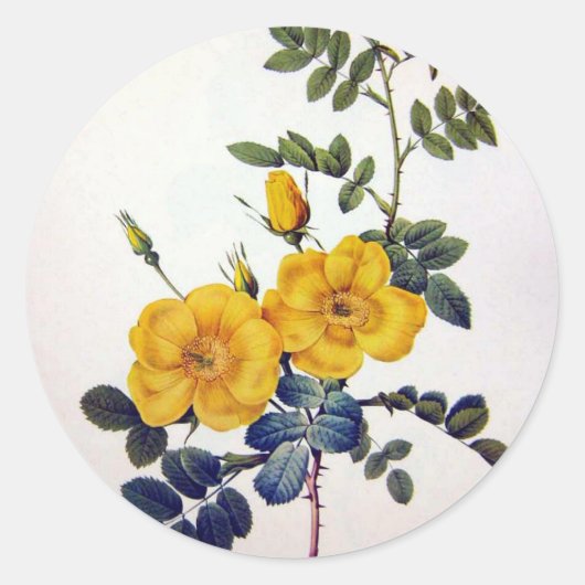 Gele wilde Rozen, Pierre Joseph Redouté Ronde Sticker (Voorkant)
