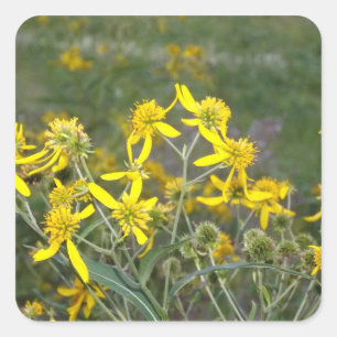 Gele wildebloem-sticker vierkante sticker