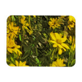 Gele Wildflower Daisies Abstract Magneet (Horizontaal)