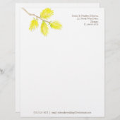 Gele wilgen catkins waterverf briefhoofd sjabloon (Voorkant / Achterkant)