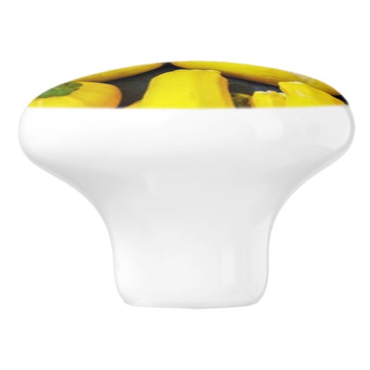 GELE WINTER SQUASH OP KERAMISCHE KNOP (Zijkant)