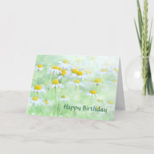 Gele Witte Daisies Birthday Kaart