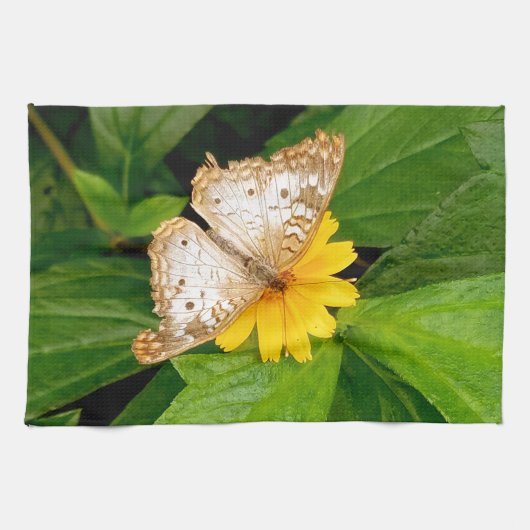 gele witte vlinder mot theedoek (Horizontaal)