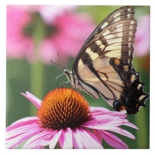 Gele zandstaarstaarstaafkeramische tapijtegel tegeltje (Voorkant)