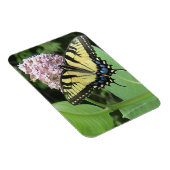 Gele zandstaartvlinder Flexi Magnet Magneet (Rechterzijde)