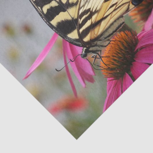 Gele zandstaartvlinder op Echinacea Tissuepapier (Detail)