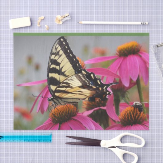 Gele zandstaartvlinder op Echinacea Tissuepapier (Craft)