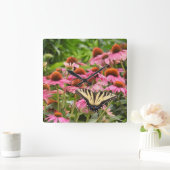 Gele zandstaartvlinder op Echinacea Vierkante Klok (Huis)