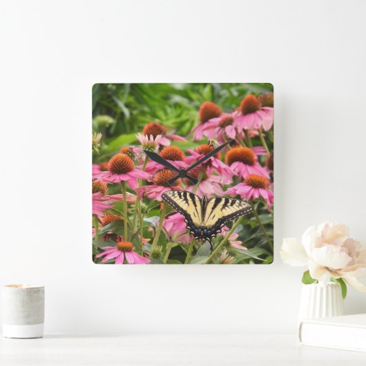 Gele zandstaartvlinder op Echinacea Vierkante Klok (Huis)