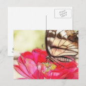 Gele zandstaartvlinder op Zinnia Briefkaart (Voorkant / Achterkant)