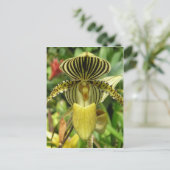 Gele Zebra Stripes Orchid Briefkaart (Staand voorkant)