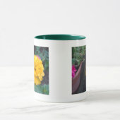 Gele Zinnia Mok (Midden)