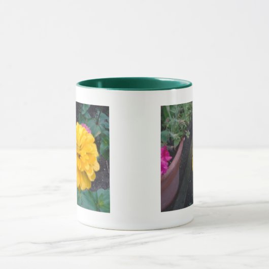 Gele Zinnia Mok (Midden)