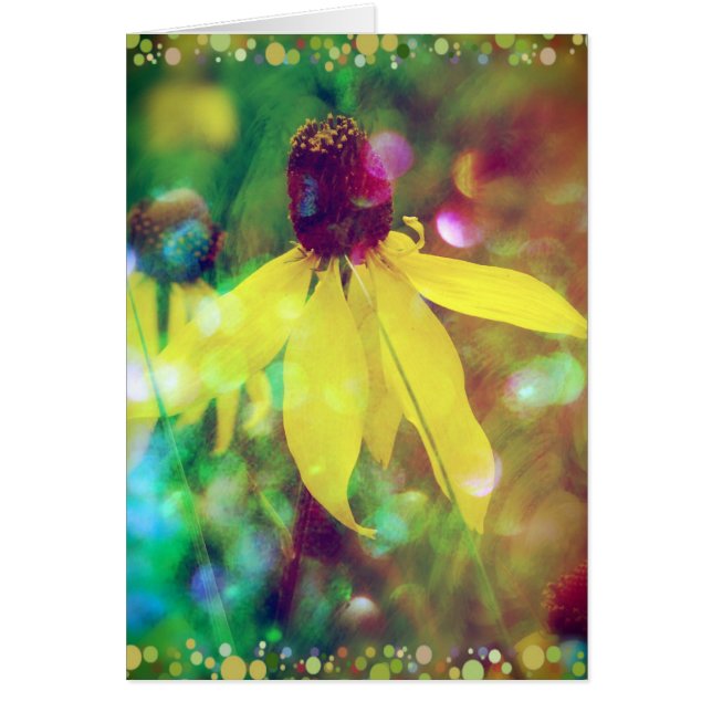 Gele zomerbloem (Voorkant)