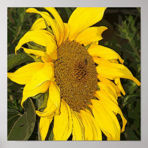 Gele zonnebloem afdrukken poster