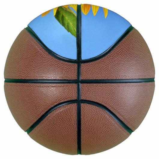 Gele zonnebloem basketbal (Rechts)