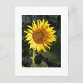 Gele zonnebloem bespaart de datumkaarten aankondigingskaart (Voorkant)