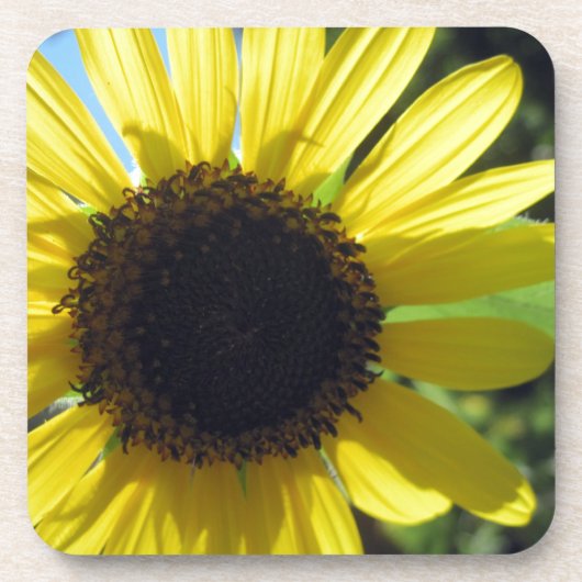 Gele zonnebloem bier onderzetter (Voorkant)