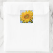 Gele zonnebloem Blauwe Sticker / Zegel (Tas)