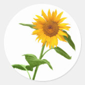Gele Zonnebloem Bloemen Stickers (Voorkant)