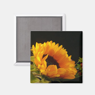 Gele Zonnebloem Bloesem Magneet