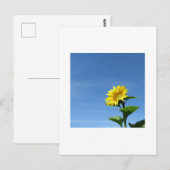 Gele zonnebloem, Blue Sky Briefkaart (Voorkant / Achterkant)