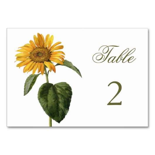  Gele Zonnebloem Botanisch Kaart (Voorkant)