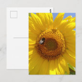 Gele zonnebloem briefkaart (Voorkant / Achterkant)