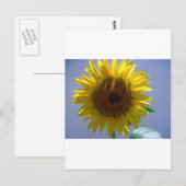 Gele zonnebloem briefkaart (Voorkant / Achterkant)