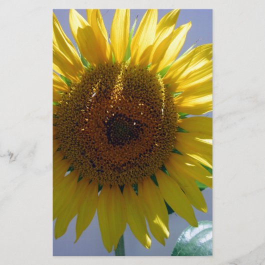 Gele zonnebloem briefpapier (Voorkant)