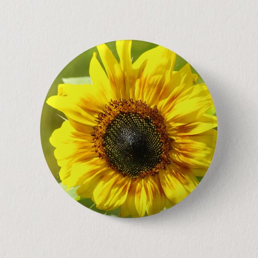 Gele zonnebloem-Button Ronde Button 5,7 Cm (Voorkant)