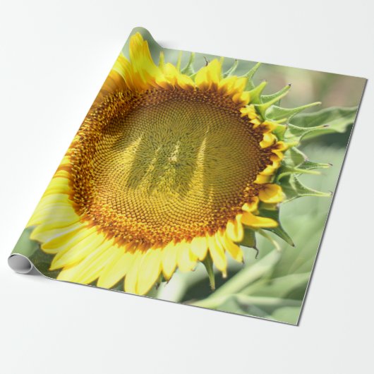 Gele zonnebloem cadeaupapier (Uitgerold)