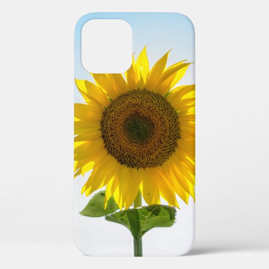 Gele zonnebloem Case-Mate iPhone case (Achterkant)