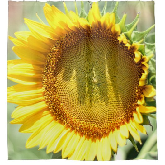 Gele zonnebloem douchegordijn (Voorkant)