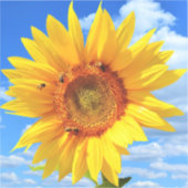 Gele zonnebloem en bijen op Blue Sky Sticker (Voorkant)