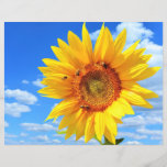 Gele zonnebloem en bijen op de blauwe hemel - zome flyer<br><div class="desc">Gele zonnebloem en bijen op de blauwe hemel - zomerdag - Fotobloem - U kunt ook uw eigen foto personaliseren - Kies / voeg uw unieke foto toe - Afbeelding / tekst - Naam / Kleur / Lettertype / Grootte / Meer - Maak uw speciale cadeau - Resize en beweeg...</div>