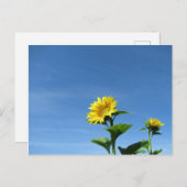 Gele zonnebloem en blauwe hemel briefkaart (Voorkant / Achterkant)