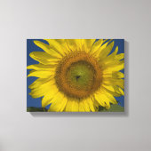 Gele zonnebloem en blauwe hemel canvas afdruk (Voorkant)