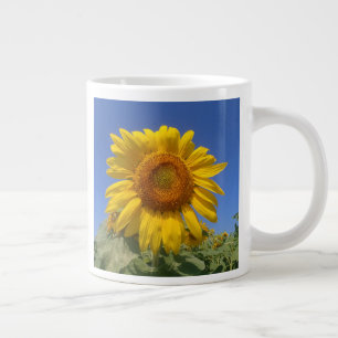 Gele zonnebloem en blauwe hemel grote koffiekop