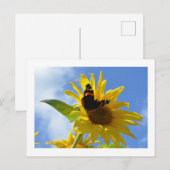 Gele zonnebloem en rode admirale vlinder briefkaart (Voorkant / Achterkant)