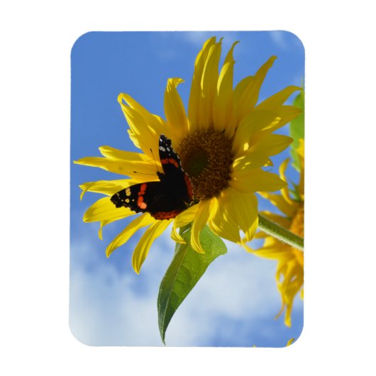 Gele zonnebloem en rode admirale vlinder magneet (Verticaal)