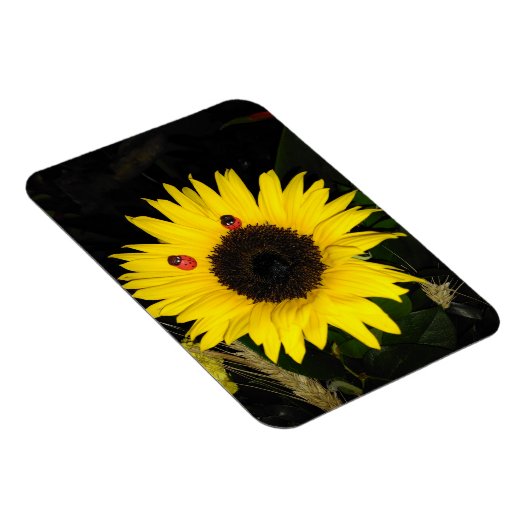 Gele zonnebloem en twee luikbeitjes magneet (Rechterzijde)