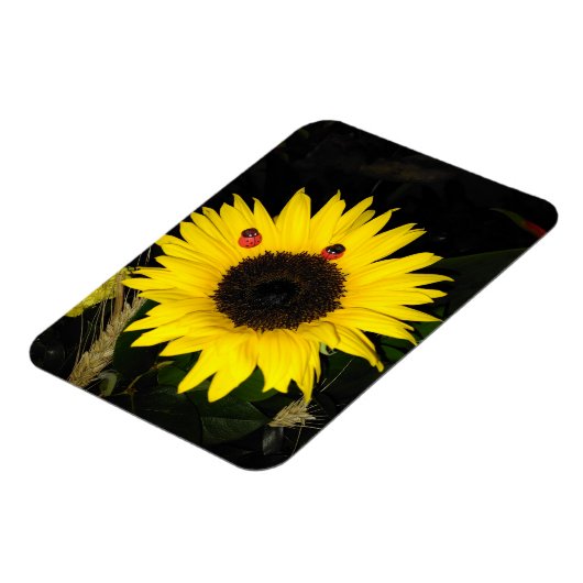 Gele zonnebloem en twee luikbeitjes magneet (Linkerzijde)