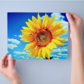 gele zonnebloem flyer (Hand)